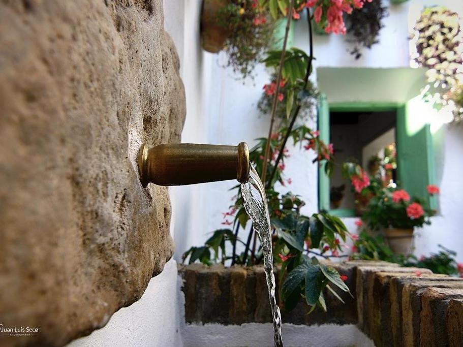 La Casa De La Costurera Apartment Cordoba Ngoại thất bức ảnh